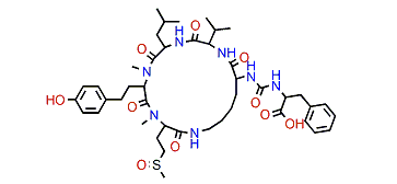 Anabaenopeptin NP 869